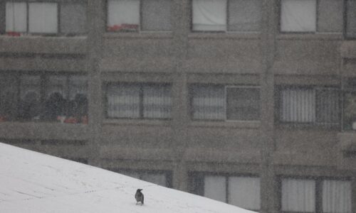 V niektorých častiach krajiny už opäť čiastočne funguje internet