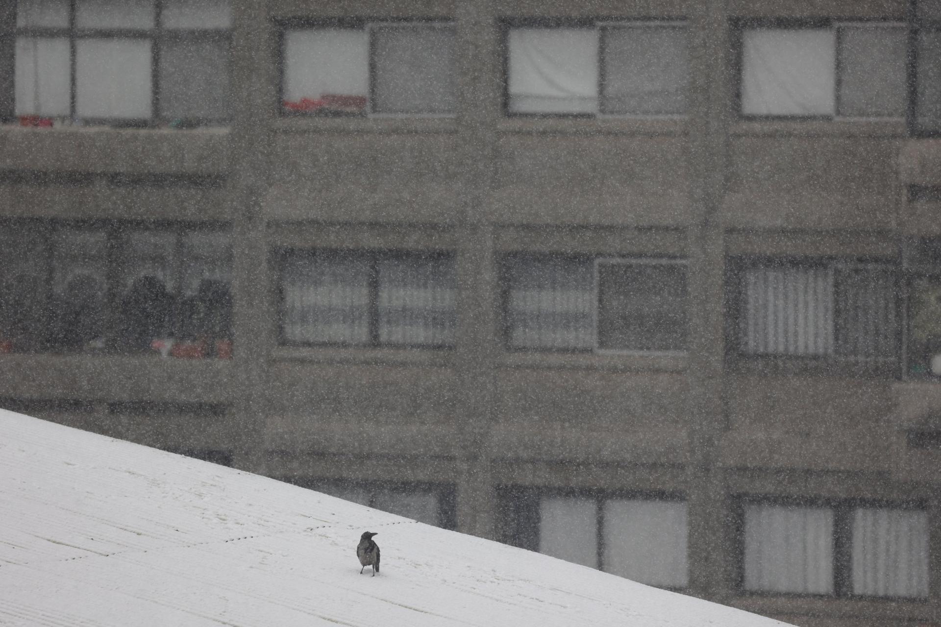 V niektorých častiach krajiny už opäť čiastočne funguje internet V niektorých častiach krajiny už opäť čiastočne funguje internet