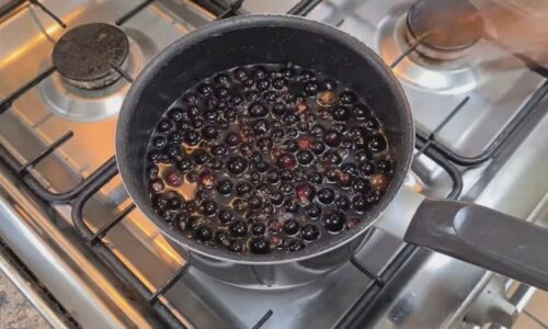 Světoví lídři potravinářství vybrali příchuť roku. Proč je černý rybíz superpotravina?