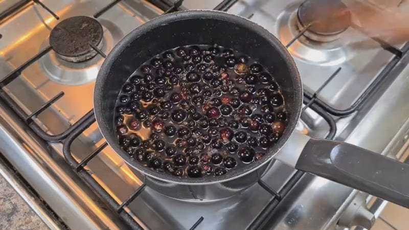 Světoví lídři potravinářství vybrali příchuť roku. Proč je černý rybíz superpotravina? Světoví lídři potravinářství vybrali příchuť roku. Proč je černý rybíz superpotravina?