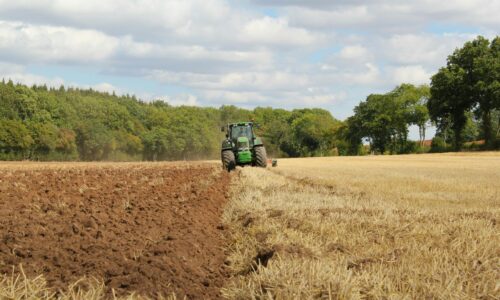 Závislosť od dovozu potravín sa prehlbuje. Mínus v agroobchode prekročil 2,4 miliardy eur Závislosť od dovozu potravín sa prehlbuje. Mínus v agroobchode prekročil 2,4 miliardy eur