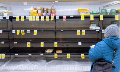 Američané vyhlížejí sněhovou apokalypsu obřích rozměrů. Regály v obchodech jsou vybrakované