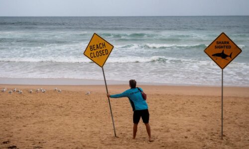 Tragický koniec útoku žraloka v Sydney. Dvanásťročný chlapec po týždni v nemocnici zraneniam podľahol