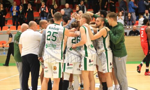 Baníci z Handlovej majú nového trénera. Klub sa rozhodol pre domácu cestu