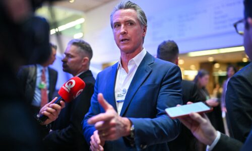 Can California replace the US in the World Health Organization? 