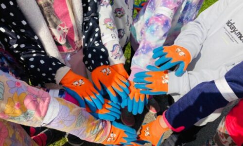 Kaufland a Lidl sú v udržateľnosti o krok vpred: Šetria všetky zdroje, nielen plasty