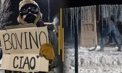 Homan replaces Bovino in Minneapolis; Millions dig out amid deep freeze