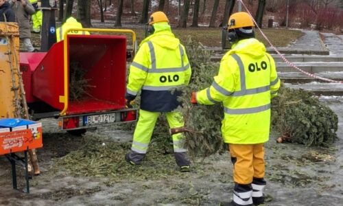 Novoročné mulčovačky v bratislave prekonali minulý rok, v petržalke sa rozdalo rekordné množstvo mulču –