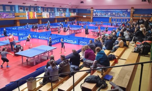 Novoročné stolnotenisové súťaže