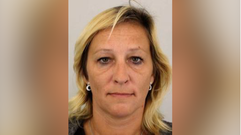 Děti svěřila kamarádovi a už se nevrátila. policie pátrá po ženě z české lípy