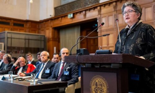 O „právnikoch“ v OSN, ktorí by mali okamžite vrátiť diplom