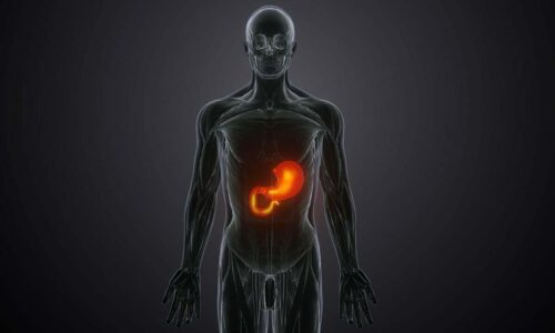 Tipy na zníženie zápalu podložené dôkazmi. Nový výskum odhaľuje prekvapivé spôsoby