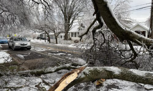 V Spojených štátoch si zimné počasie vyžiadalo najmenej 85 mŕtvych