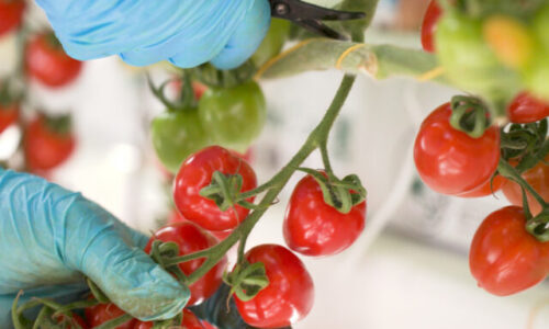 Kvalita bez kompromisov sa oplatí