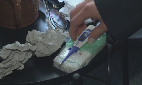 Tichý zabiják mladých sportovců: Příznaky bývají nenápadné, o životě rozhoduje jedno pravidlo