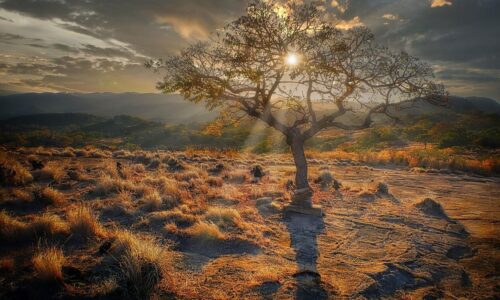 USA stopli granty, míny zostali: Zimbabwe zápasí s dedičstvom vojny