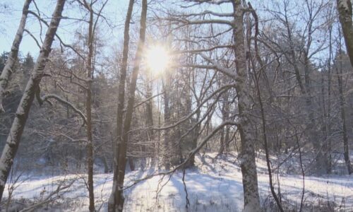 Jak světlo ovlivňuje spánek a náladu? To umělé může škodit, ne vždy tak tomu ale je