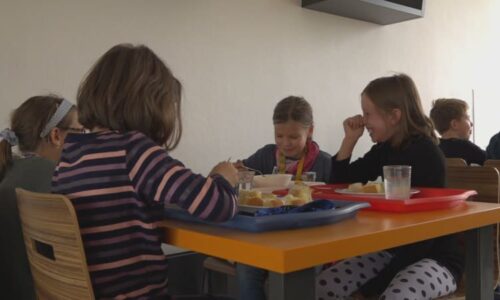 Zastánci nového školního stravování vytáhli do boje: Varují před tlakem lobbingu, sepsali výzvu