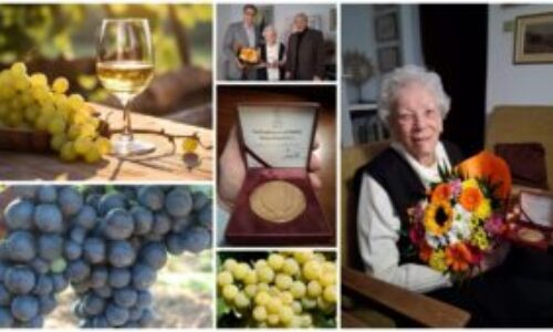 Matica slovenská udelila „Zlatú cenu Matice slovenskej“ Ing. Dorote Pospíšilovej, CSc.