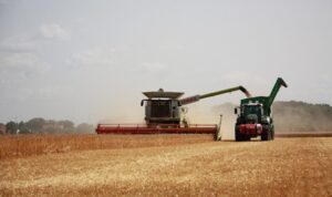 Jak mercosur poškodí evropskou ekonomiku