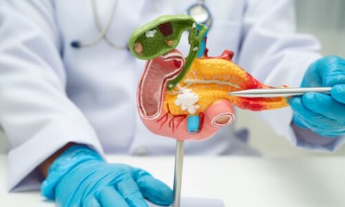 Průlom v léčbě superagresivních nádorů? Vědci testovali na myších novinku, rakovina zmizela