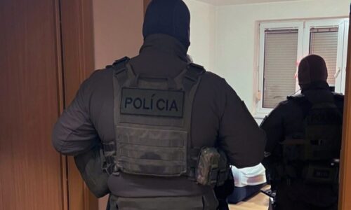 Policajti v rámci akcie SÁVA chytili srbskú prevádzačku, hrozí jej osem rokov väzenia – FOTO