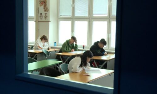 Deváťáci se u přihlášek dopouštějí zásadní chyby. Zbytečně si snižují šance, co dělat jinak?