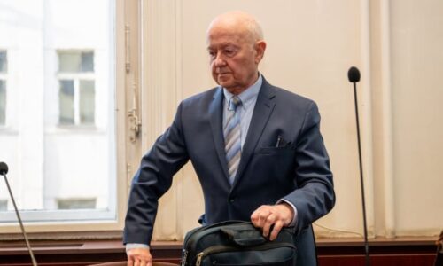 Psychiatr nutil pacientku, aby ho vozila na zádech a svlékala se. Dostal několikaměsíční trest