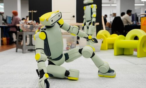 Humanoidní roboti dospievajú. S jednou vecou majú však stále problémy