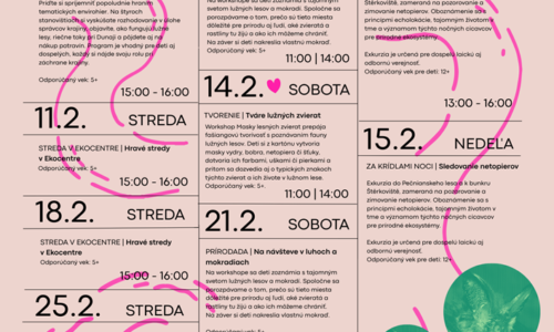 Program na február v Ekocentre Čunovo. Komentované exkurzie, hravé stredy aj tvorivé soboty