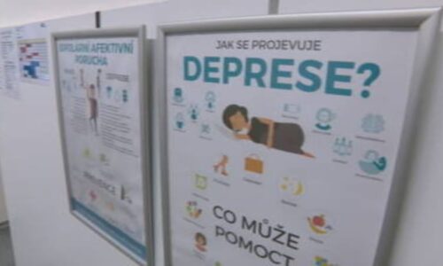 Nedostatek psychologů v Česku mají řešit i speciální on-line programy. Zájem je obrovský
