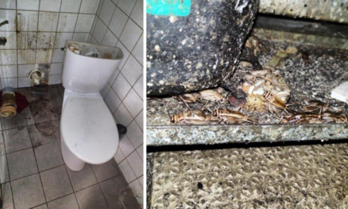 Plíseň v kuchyni, hmyz a špinavý záchod. Inspekce uzavřela restauraci v Mariánských Lázních