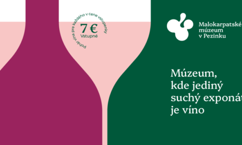 Malokarpatské múzeum medzi najefektívnejšími marketingovými kampaňami roka!