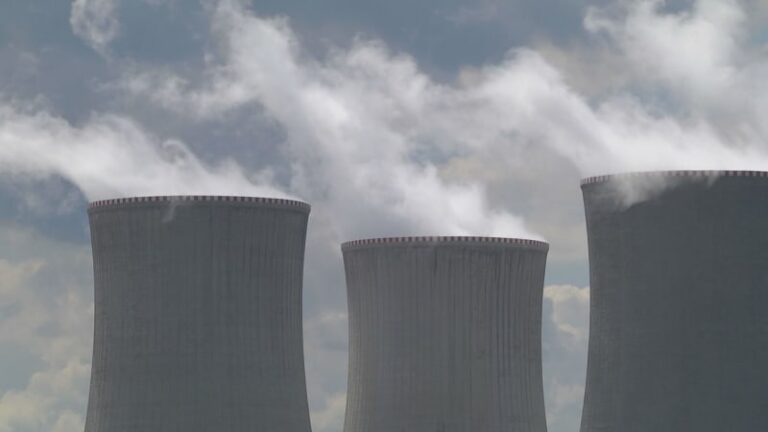 Dukovany mají problém: ochránci přírody podali kasační stížnost, blok bude řešit soud