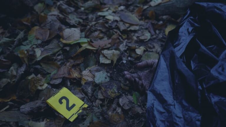 Sadista s vysokým hlasem masakroval prostitutky v česku. vraha přelstil až slavný policista