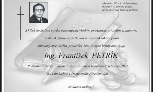 Ing. František Petrík
