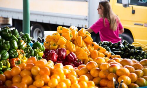 Svetový potravinový systém stojí na malých farmároch, nie na agroobroch