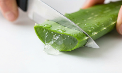 Aloe vera účinky: prečo je kanárske aloe vera najlepšie na svete