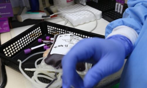 Zákazy darovania krvi pretrvávajú aj napriek vedeckému pokroku