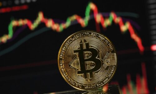 PŘEHLEDNĚ: „Krypto zima“ vyděsila trh. Proč bitcoin padá a vrátí se někdy na vrchol?