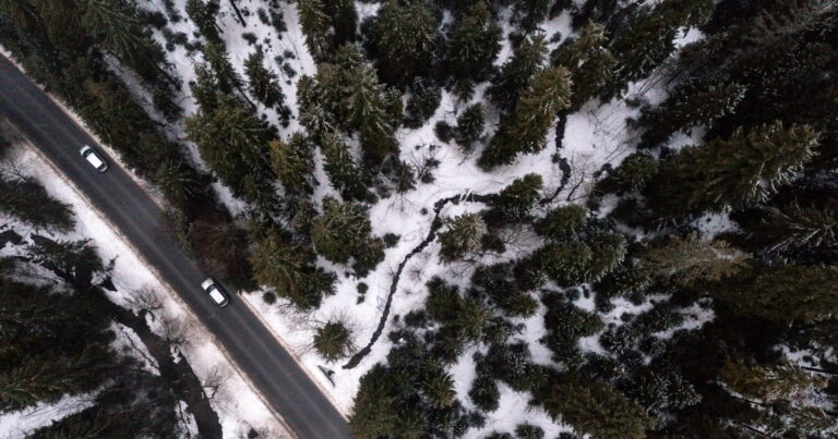 Obsession with growth is destroying nature, 150 countries warn &ndash; POLITICO