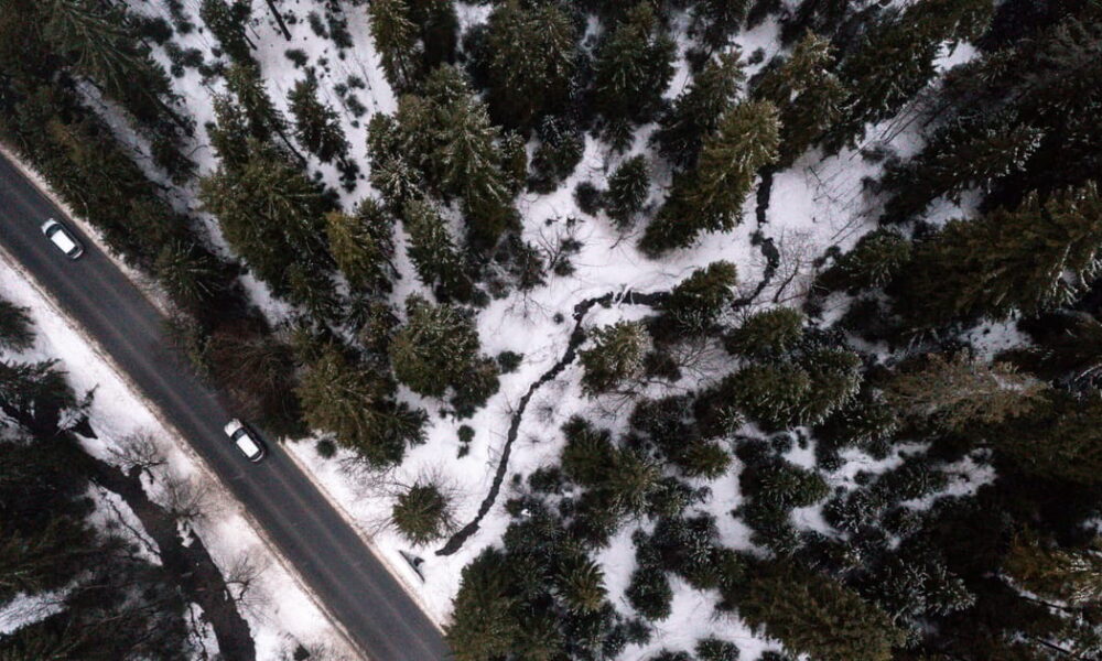 Obsession with growth is destroying nature, 150 countries warn – POLITICO