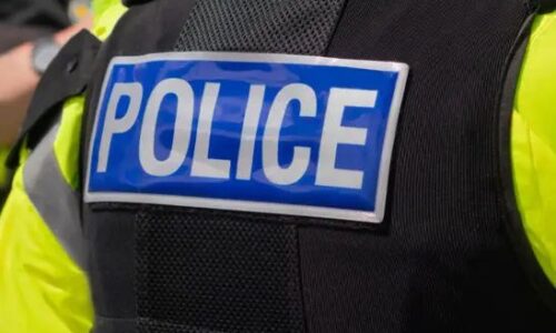 Aká bude bezpečnosť na MS vo futbale v Mexiku? Policajti sa boja, pomôžu im robotické psy