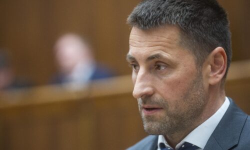 Slováci už vidia, že majú nižšie výplaty, vláda oberá ľudí, tvrdí SaS
