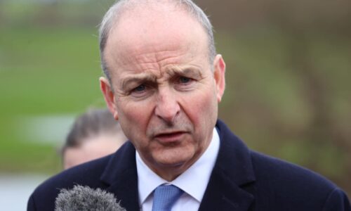 Ireland pushing to free citizen held by ICE in Texas – POLITICO