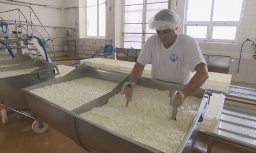 Stop migraci českého mléka, plánuje ministr za SPD. Chce zvrátit masivní vývoz do Německa