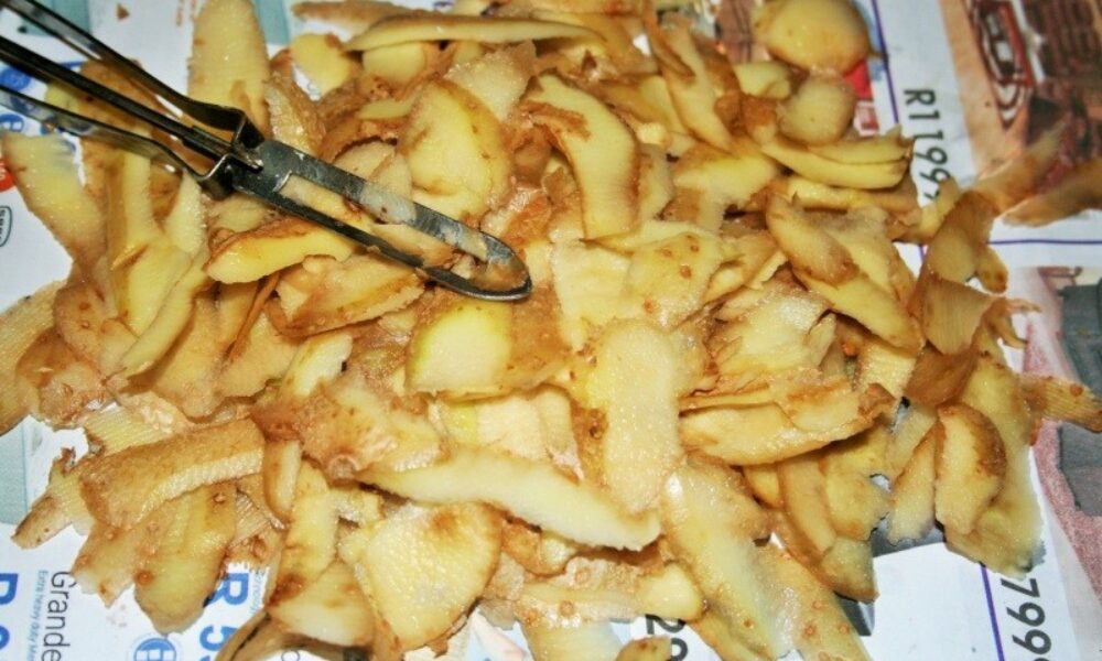 Celú zimu si ich odkladám a suším! Na jar mám silné prírodné hnojivo pre celú záhradu z obyčajného kuchynského odpadu