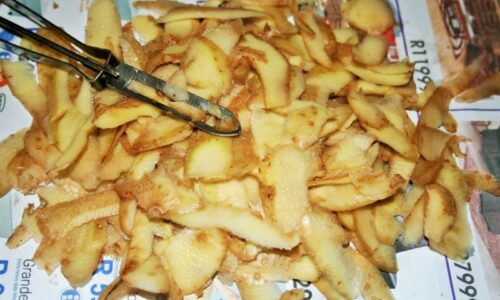 Celú zimu si ich odkladám a suším! Na jar mám silné prírodné hnojivo pre celú záhradu z obyčajného kuchynského odpadu