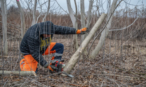 Bratislavský kraj odštartoval prípravné práce na Kampuse zdravia a športu v Petržalke