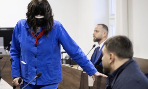 Fico podľa Danka mieri za ústavného sudcu, výsluch Zsuzsovej a zraniteľní ukrajinskí tínedžeri (Brífing HN)